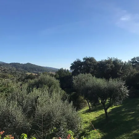 Tatil Evi Souleiadito Dans Le Golfe De Saint Tropez Le Plan-de-la-Tour